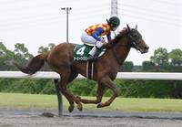 　平安Ｓを制したテーオーケインズ