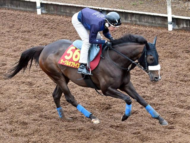 【オークス】サークルオブライフ万全　「あとはミルコに」広々府中で末脚さく裂だ