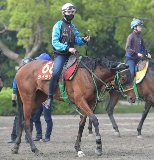 【オークス】ライラック陣営自信満々　相沢師６枠１２番に「勝ってくださいの枠」