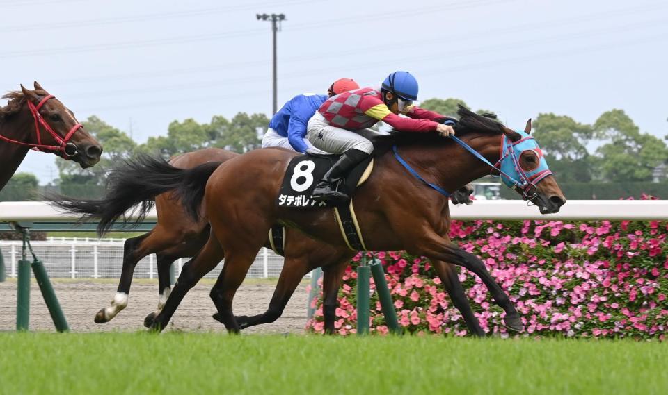 　メルボルンＴを制したダテボレアス