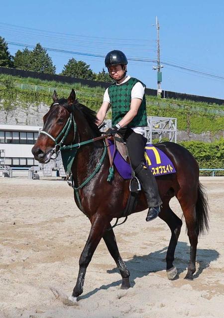 【日本ダービー】ピースオブエイト　馬具効果も期待　奥村豊師「フィットするよう確かめる」