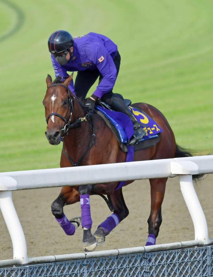 完璧な仕上がりを見せるドウデュース（撮影・石湯恒介）