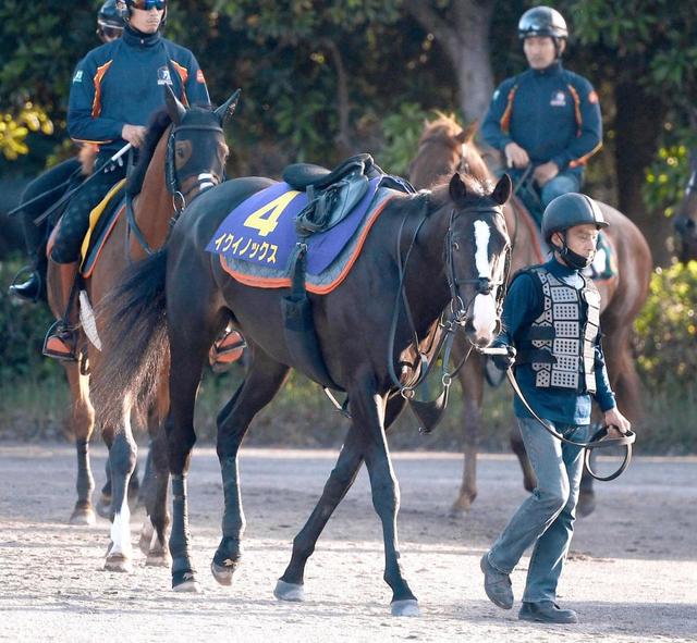 【日本ダービー】イクイノックス　大外枠から頂点奪取　オークスＶのルメール導く