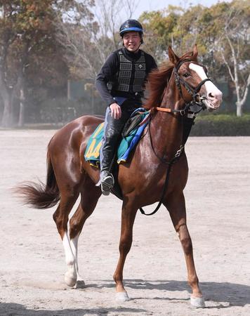 期待の大きいメリオルヴィータに注目