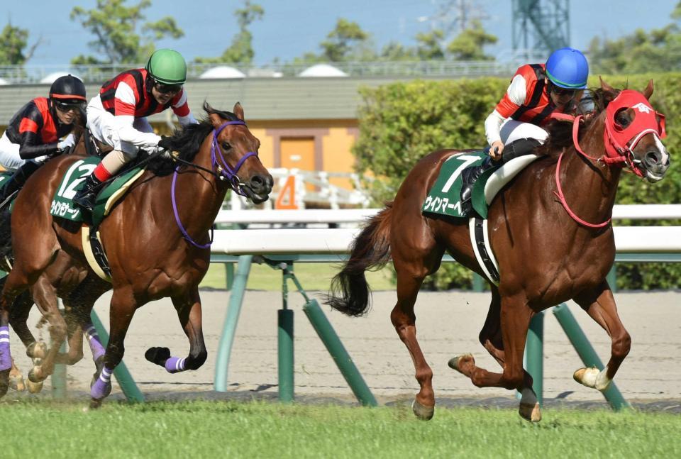 　ライバルを突き放したウインマーベル