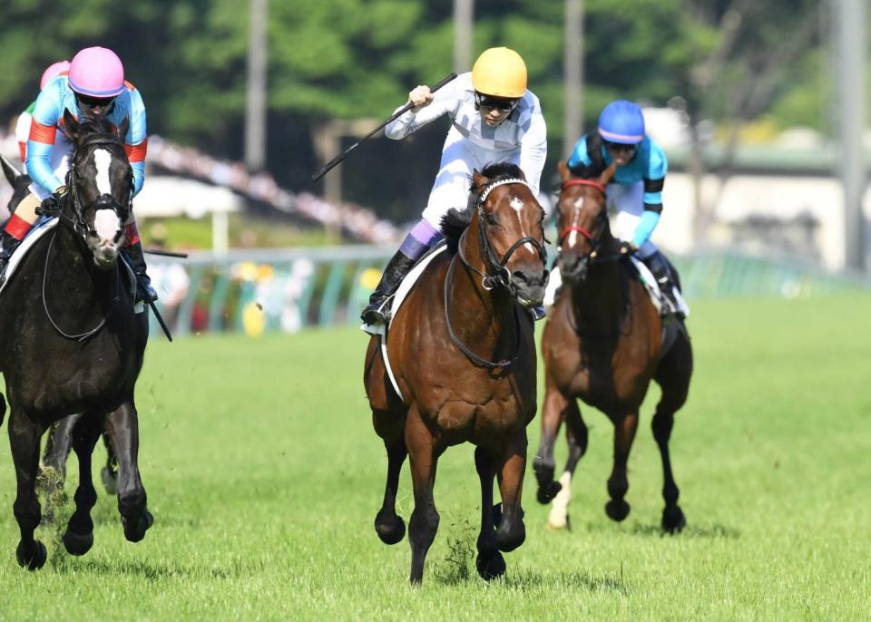 日本ダービー】ドウデュース レースレコードで７５２２頭の頂点に いざ凱旋門賞/競馬・レース/デイリースポーツ online