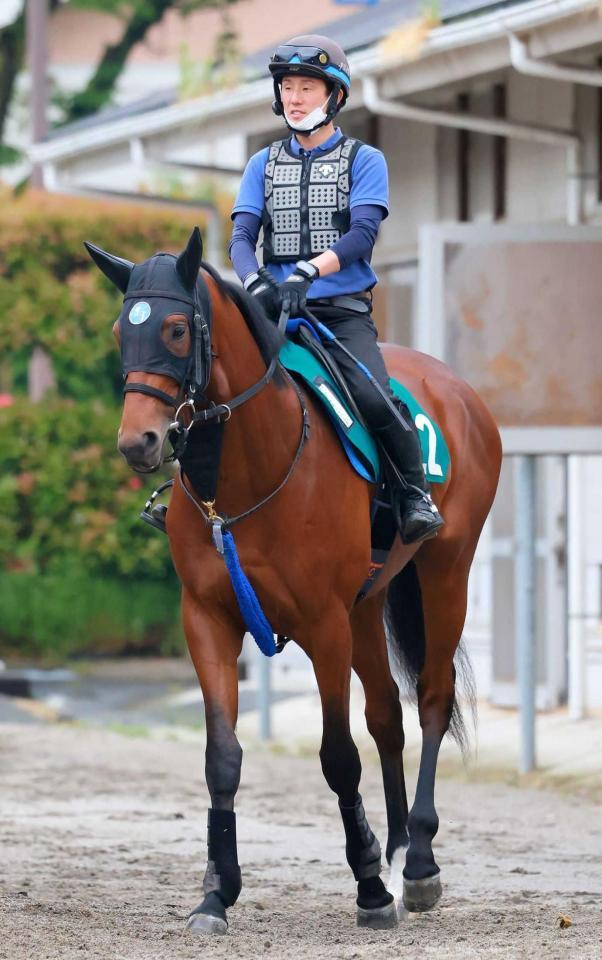 　父譲りのバランスの良さがあるダイヤモンドハンズ