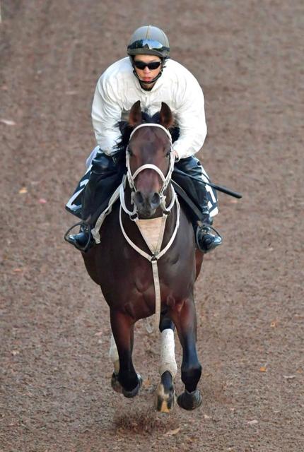 アンタレスＳ２着のグロリアムンディが福永で宝塚記念参戦へ