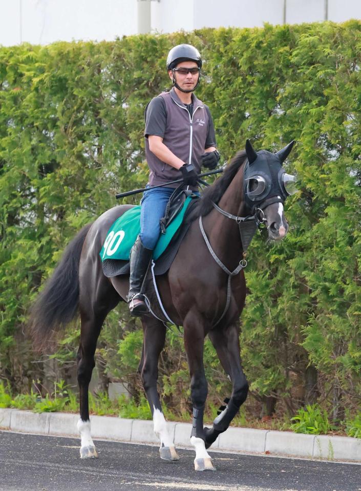 　動きの良さが光るエゾダイモン（撮影・石湯恒介）