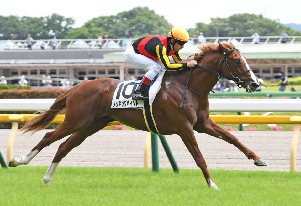 ノッキングポイント東の一番星 抜群のスピードで他馬圧倒 ルメール 能力ありそう 競馬 レース デイリースポーツ Online