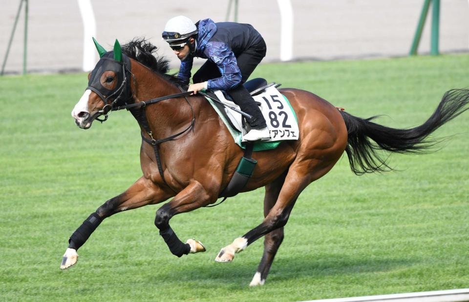 　藤岡佑を背に函館芝で軽快な動きを見せたビアンフェ