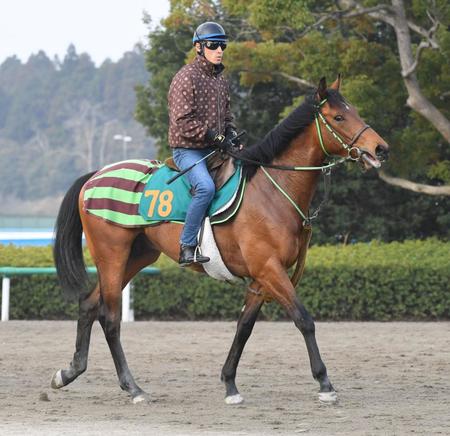 ２５日東京でデビューを予定しているブラストウェーブ