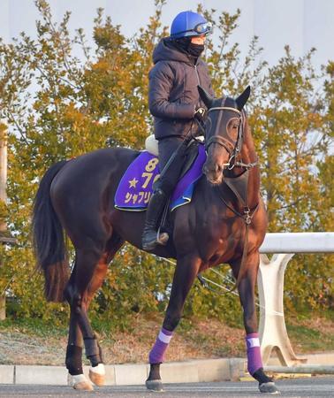 　シャフリヤール