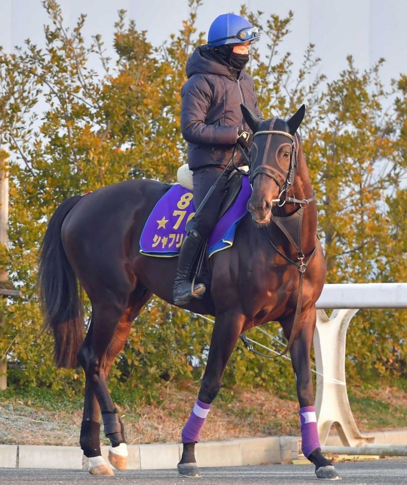 　シャフリヤール