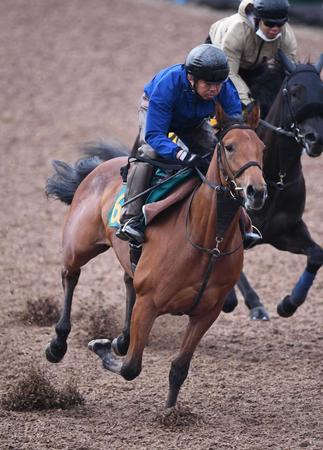 　素軽な動きを見せるビターグラッセ