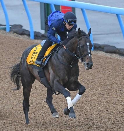 　美浦Ｗで軽快な走りを見せたグラティアス