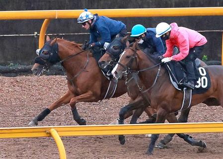 　栗東ＣＷでＭ・デムーロを背に軽快な動きを見せたセキフウ（奥）＝撮影・石湯恒介
