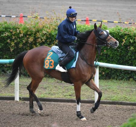 　土曜東京でデビュー予定のランドオブラヴ