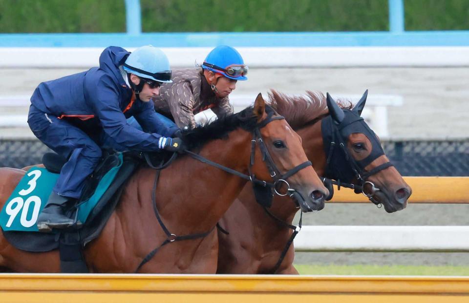 　酒井を背に栗東ＣＷで活気十分の動きを見せたルビーカサブランカ（奥）