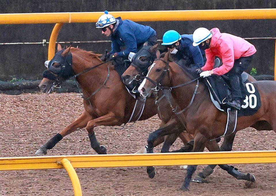 　栗東ＣＷでＭ・デムーロを背に軽快な動きを見せたセキフウ（奥）＝撮影・石湯恒介
