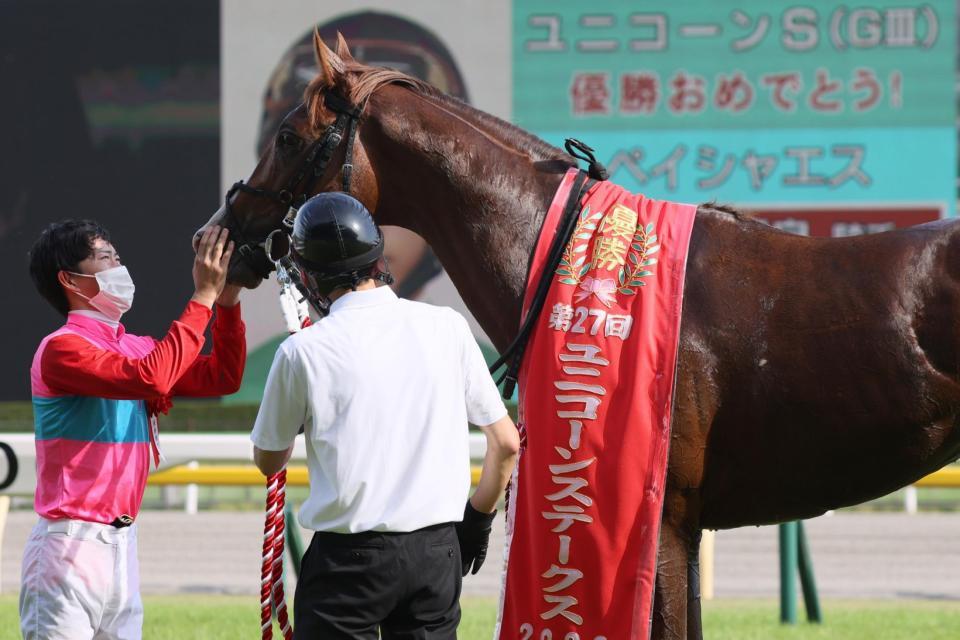 　ユニコーンＳを制したペイシャエスの鼻を撫でる菅原明