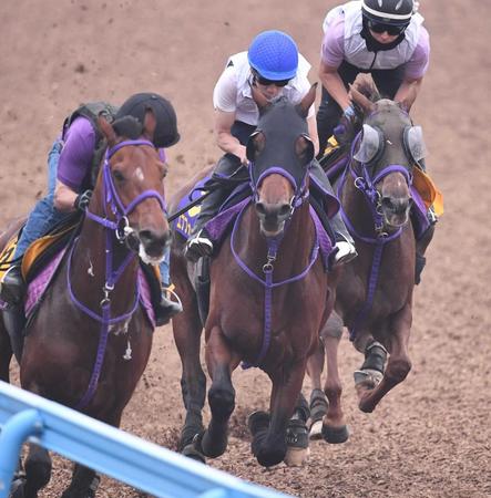 　３頭併せで負荷をかけられたエフフォーリア（中央）＝撮影・園田高夫