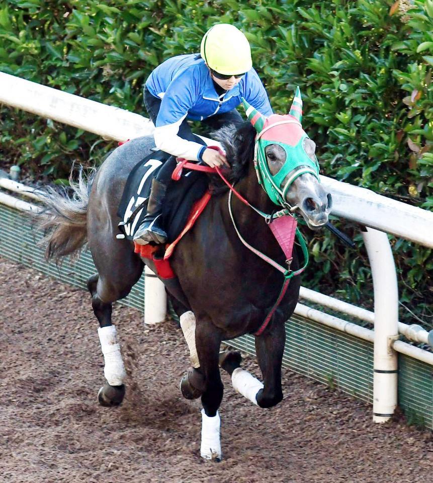 　重賞初騎乗初制覇を目指す今村聖奈とテイエムスパーダ