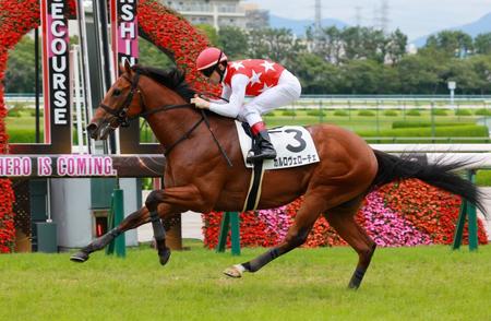 ６月２６日の阪神新馬戦を制したカルロヴェローチェ