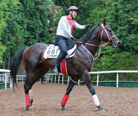 　復帰戦でタイトル奪取を狙うユニコーンライオン（撮影・石湯恒介）