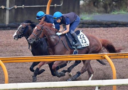 　栗東ＣＷで追い切るラーゴム（手前）＝撮影・石湯恒介