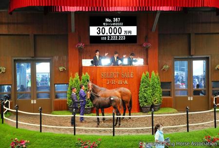 ３億円で落札されたモシーン２２