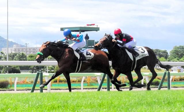 【ＰＯＧ】２歳新馬戦独断評価（９、１０日）　偉大な兄に続け！ブラストウェーブ将来性抜群