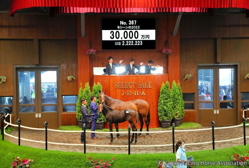 ３億円で落札されたモシーン２２