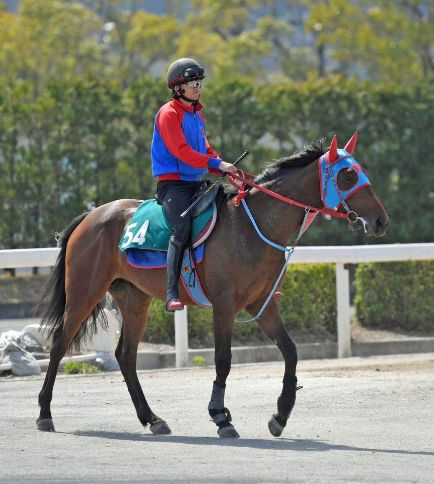メイクザビートは２３日の小倉で初勝利に挑む