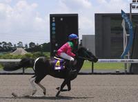 サクラに騎乗し、先頭でゴールする池添陽さん