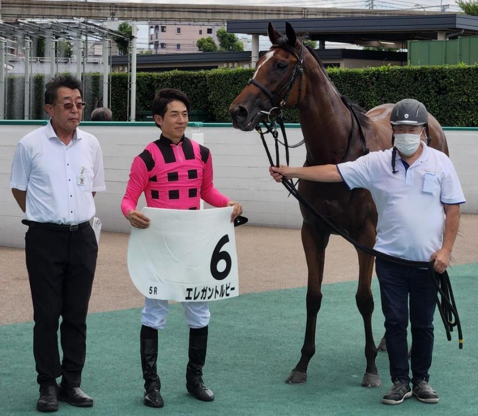 　デビュー勝ちを飾ったエレガントルビー