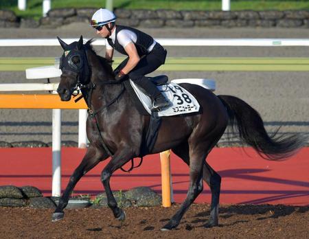 　強烈な末脚が武器のミスニューヨーク