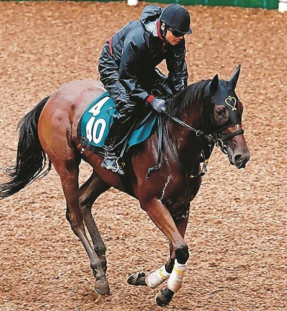 デビュー勝ちを収めたエレガントルビー