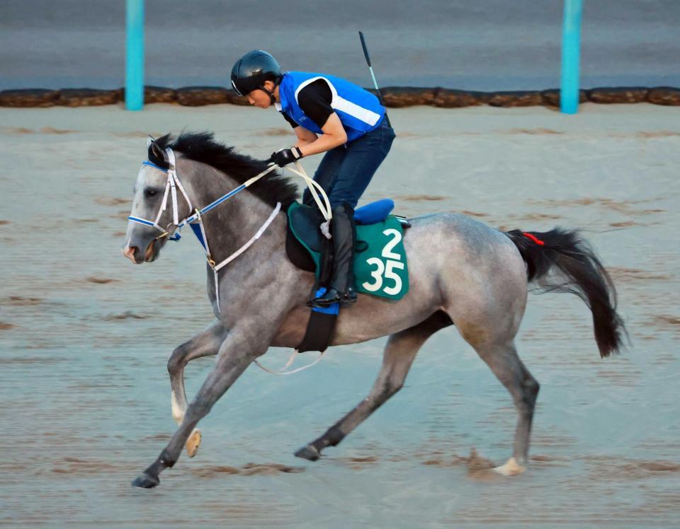 　陣営が性能を高く評価するヤクシマ