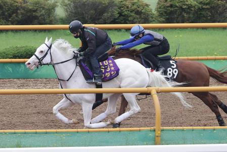 　函館Ｗで併せ馬で追われるソダシ
