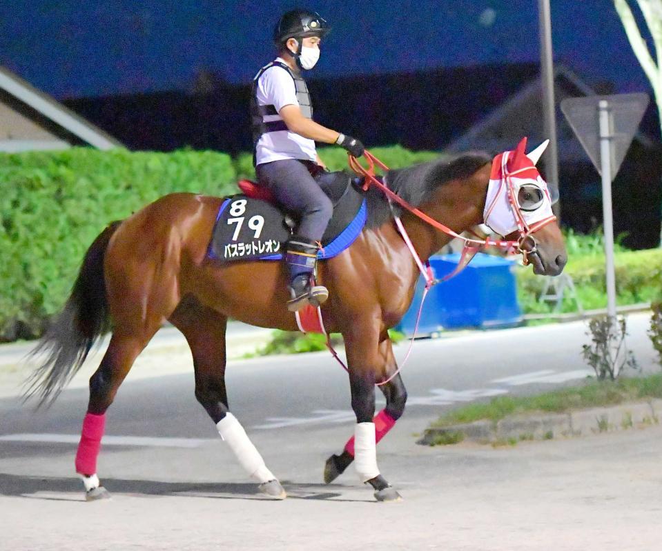 　バスラットレオン