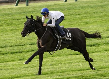 　ウォーターナビレラ