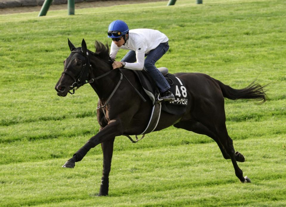 　ウォーターナビレラ