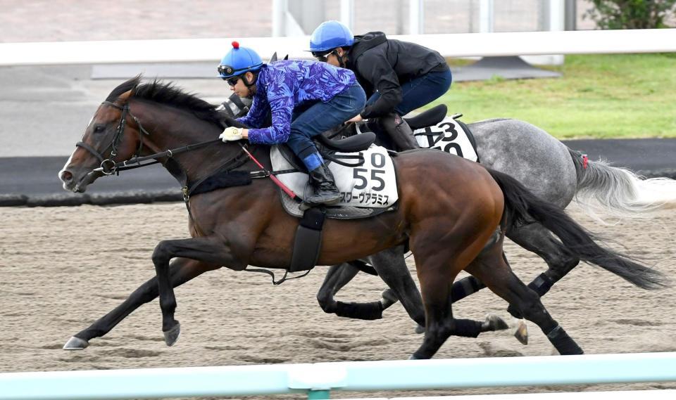 　札幌Ｄ併せで追い切ったスワーヴアラミス（手前）＝撮影・三好信也