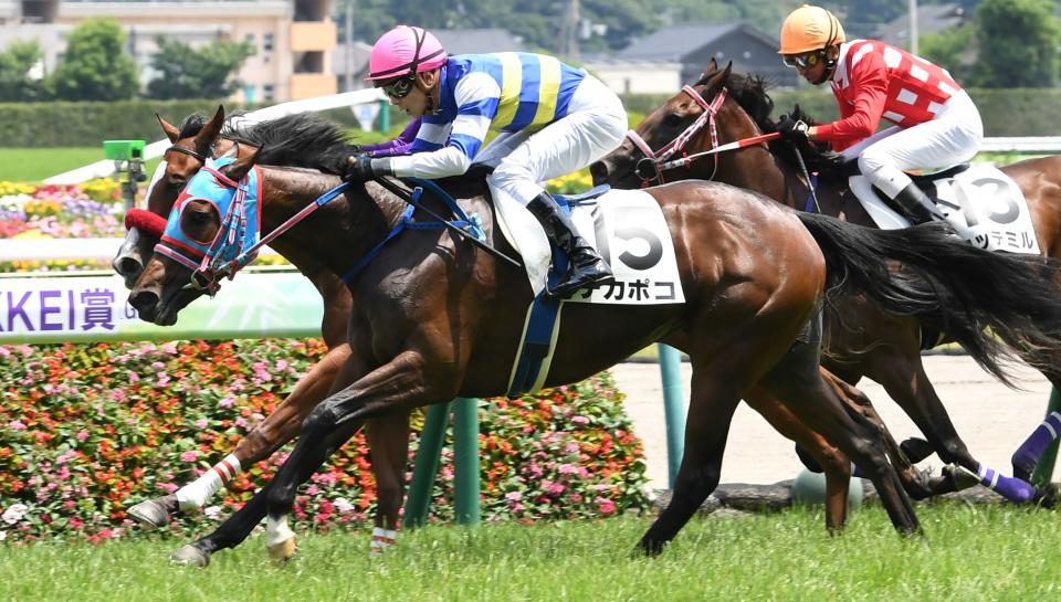 次走は新潟２歳Ｓを予定しているチカポコ