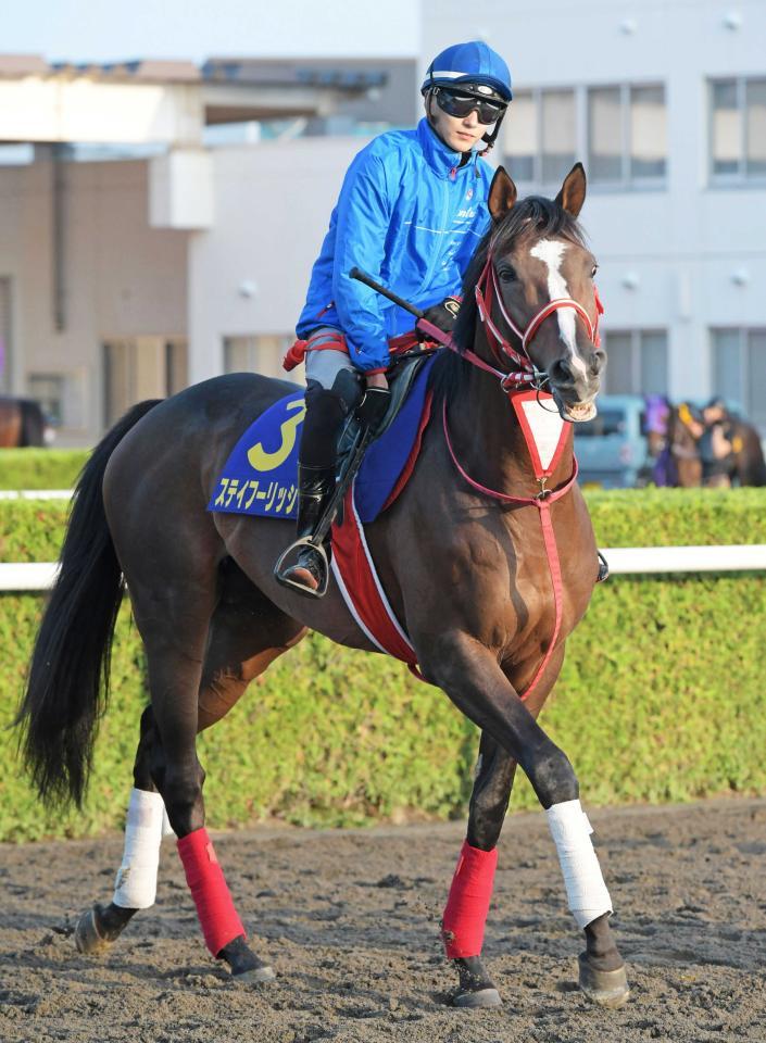 国内最終追いを行ったステイフーリッシュ