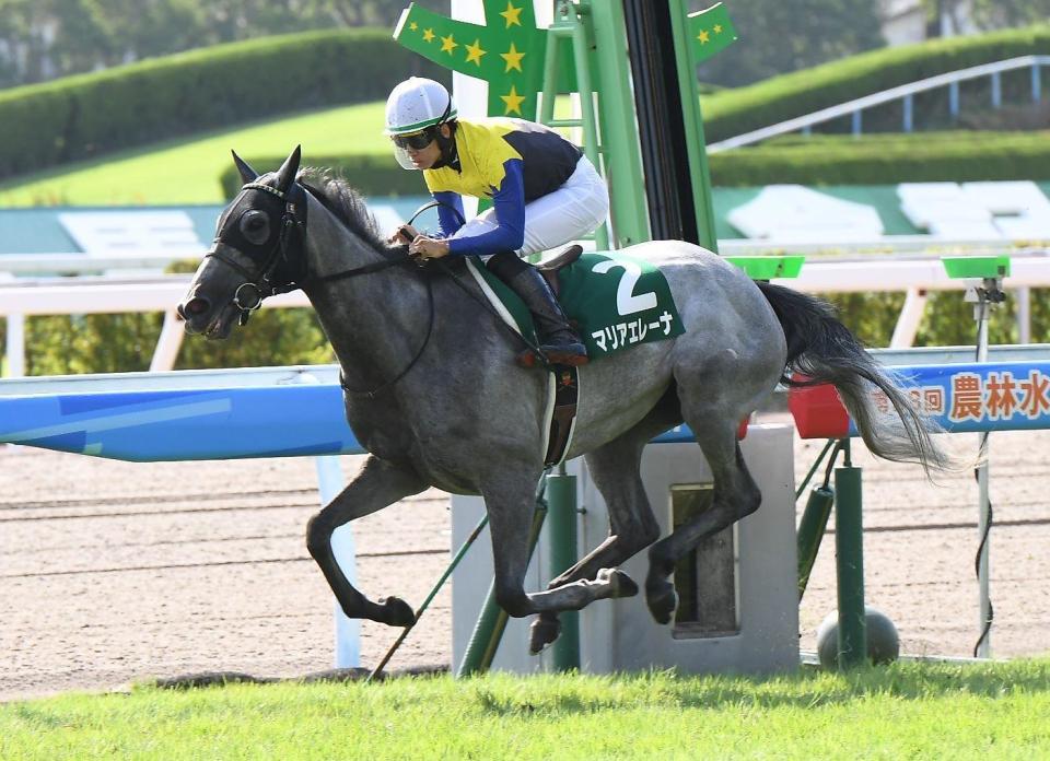 小倉記念】２番人気マリアエレーナが重賞初Ｖ/競馬・レース/デイリースポーツ online
