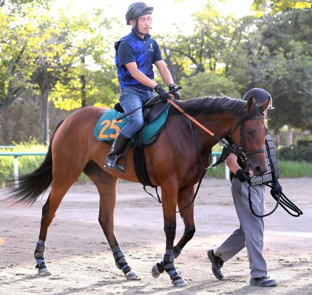 【POG】ブレイディヴェーグ「最後伸びてくる」 宮田師が豪快差し切りイメージ