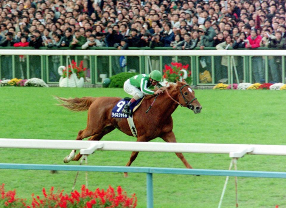 タイキシャトル死す 老衰による心不全で G1を5勝 28歳/競馬
