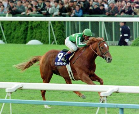 　９８年マイルＣＳ